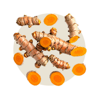 Kurkuma