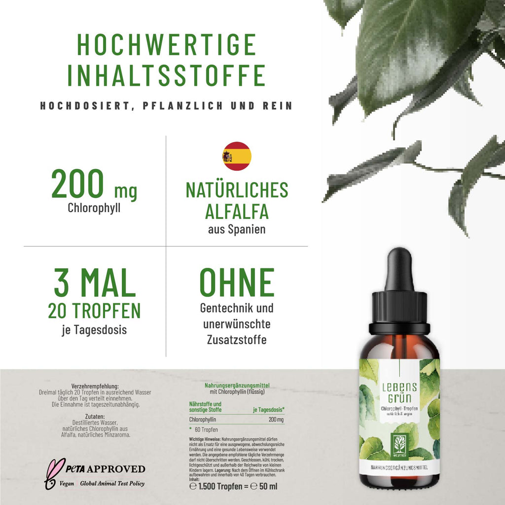 Lebensgrün Chlorophyll-Tropfen Hochwertige Inhaltsstoffe