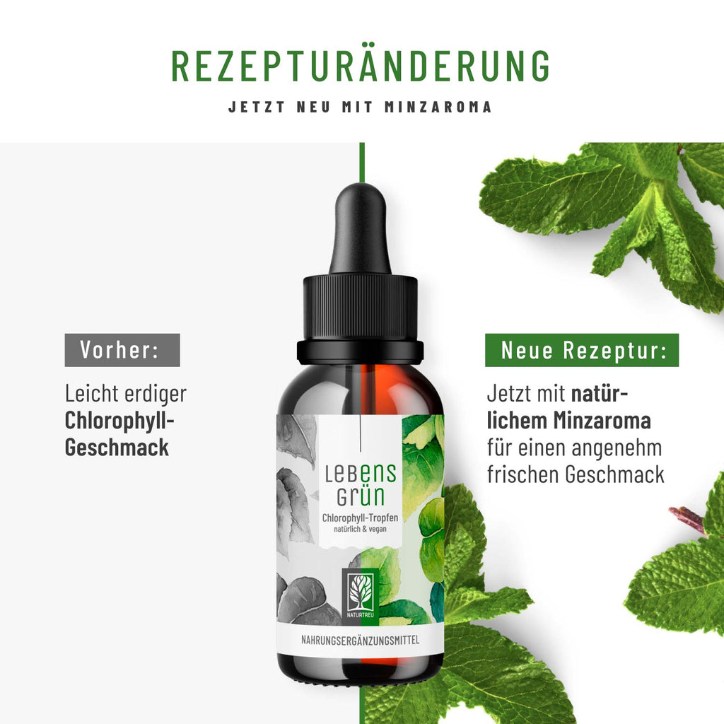 Lebensgrün Chlorophyll-Tropfen Rezeptanpassung