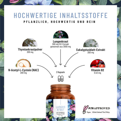 Lungenkraut Eukalyptus Thymian NAC hochwertige Inhaltsstoffe 