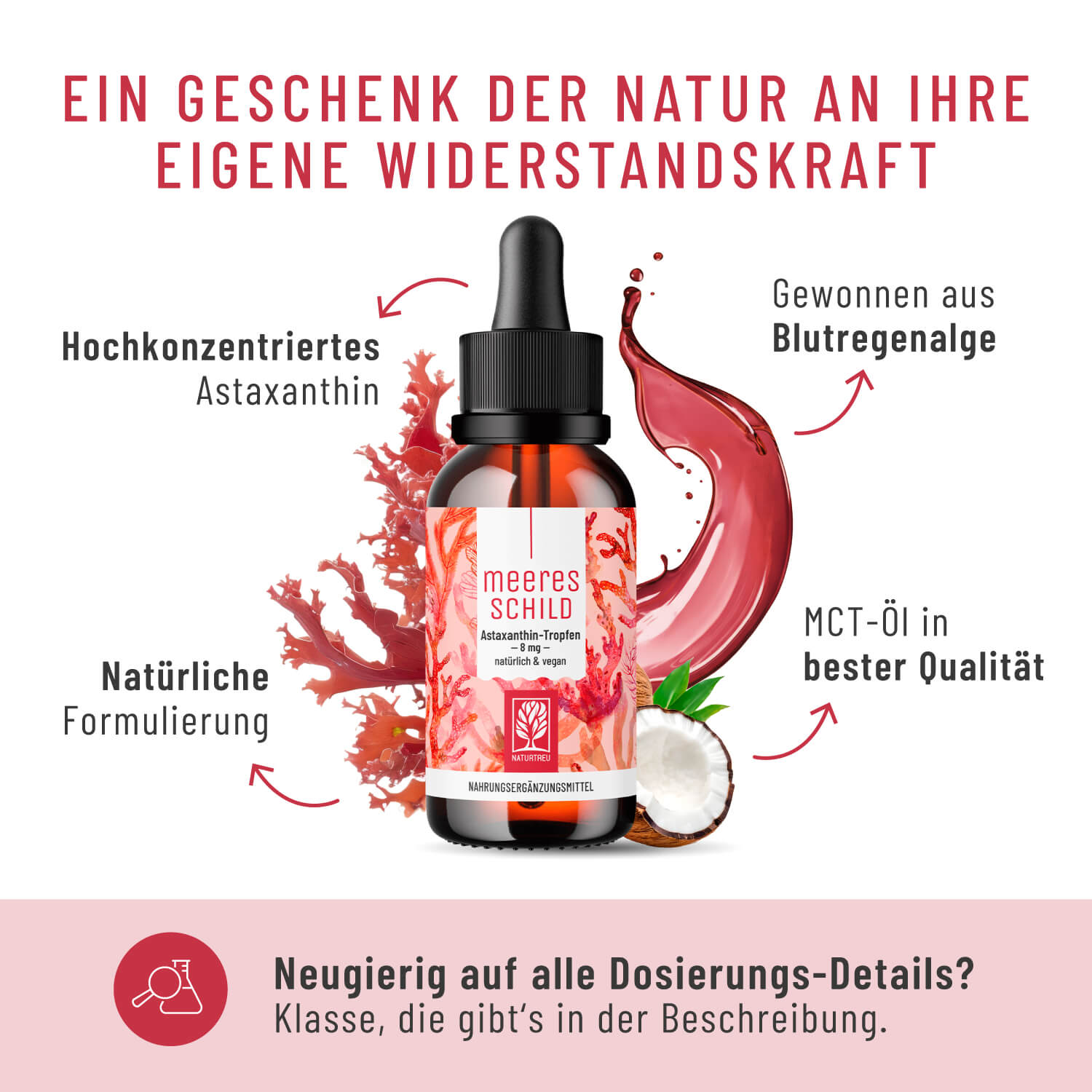 MESC Meeresschild Creatives DE Onlineshop Inhaltsstoffe