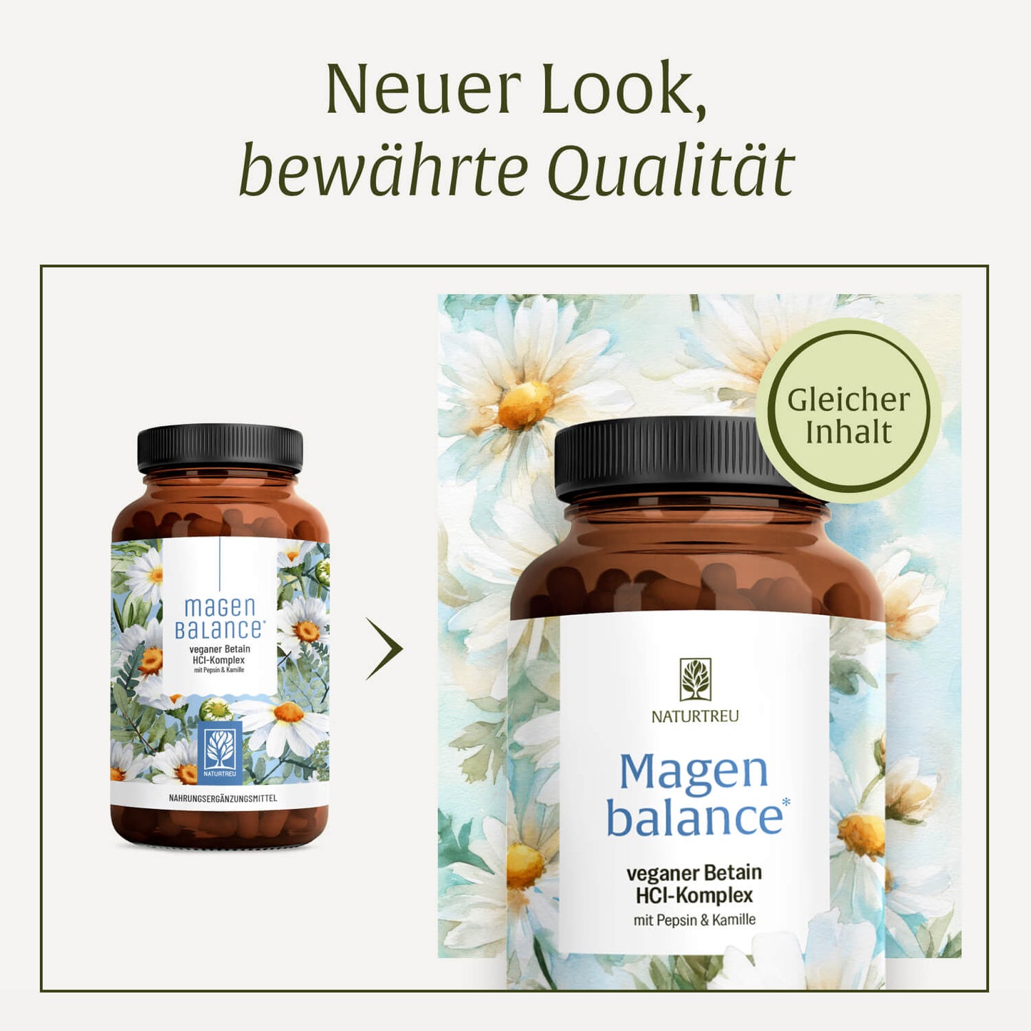 Magenbalance: Betain HCI-Komplex mit Pepsin & Kamille