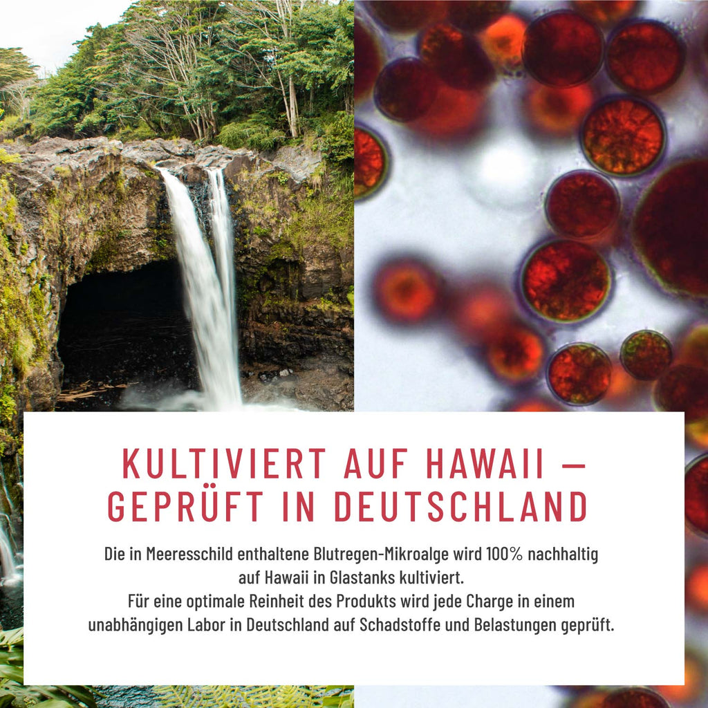 Meeresschild Astaxanthin-Tropfen Moodbild 02
