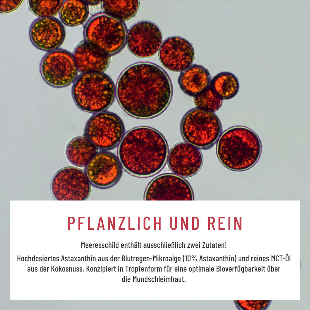 Meeresschild Astaxanthin-Tropfen Moodbild