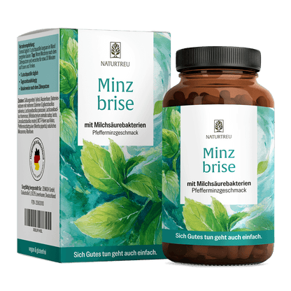 Minzbrise mit Milchsäurebakterien