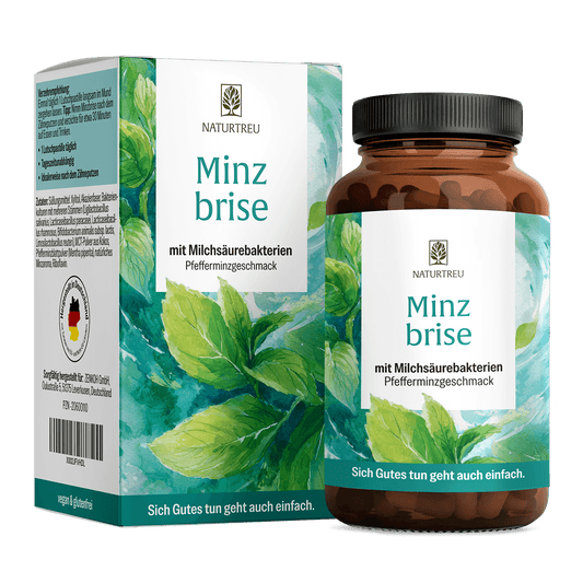 Minzbrise mit Milchsäurebakterien