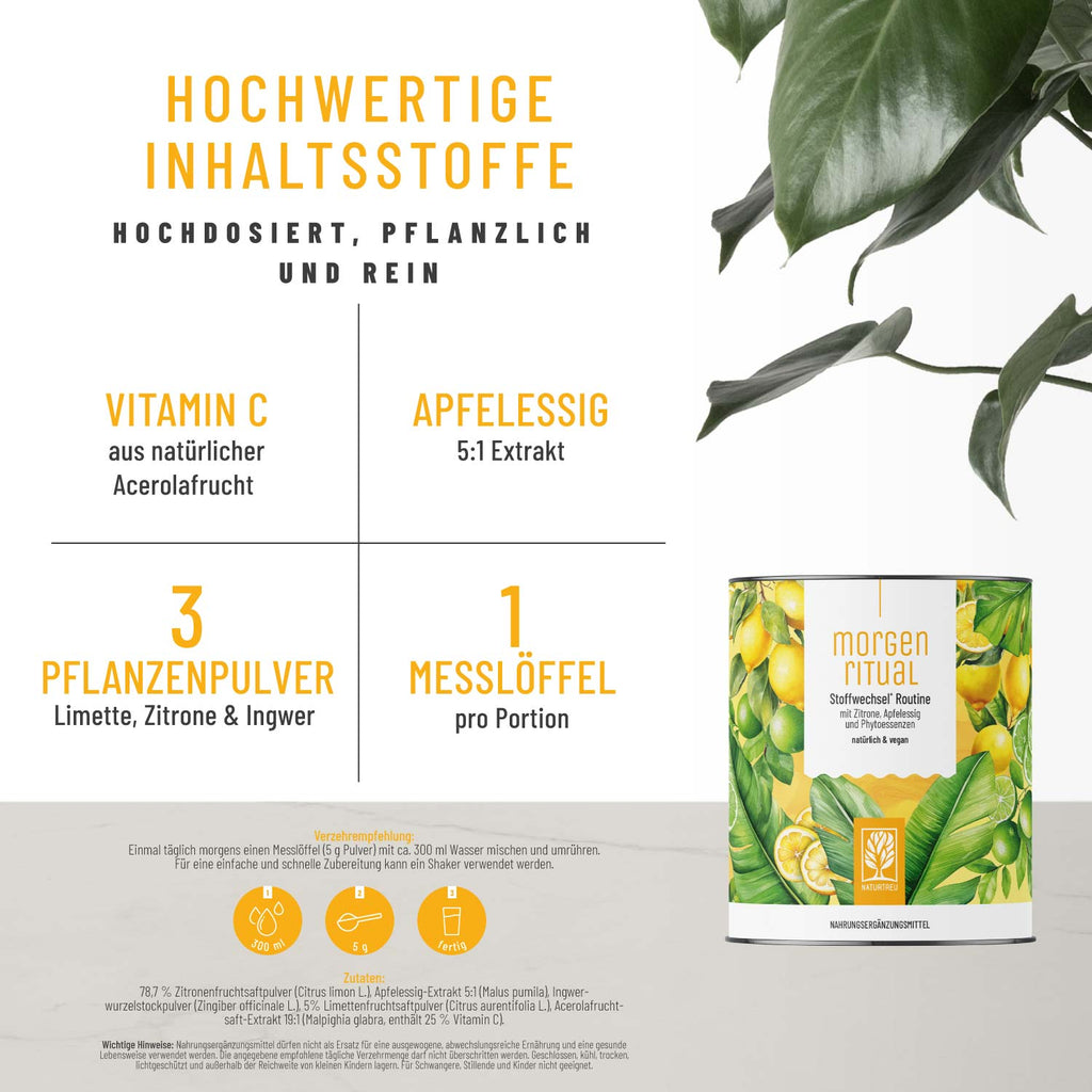 Morgenritual Stoffwechsel-Routine Hochwertige Inhaltsstoffe