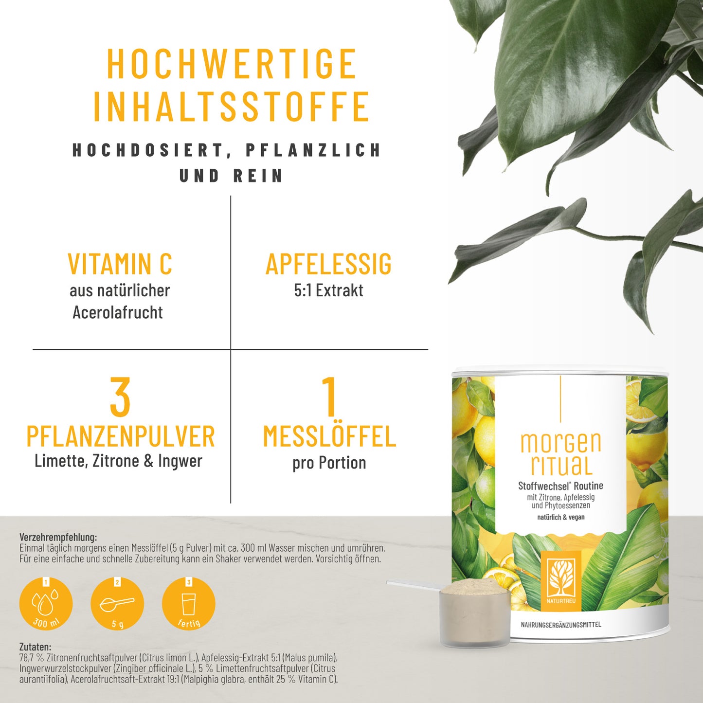 Morgenritual Stoffwechsel-Routine Hochwertige Inhaltsstoffe