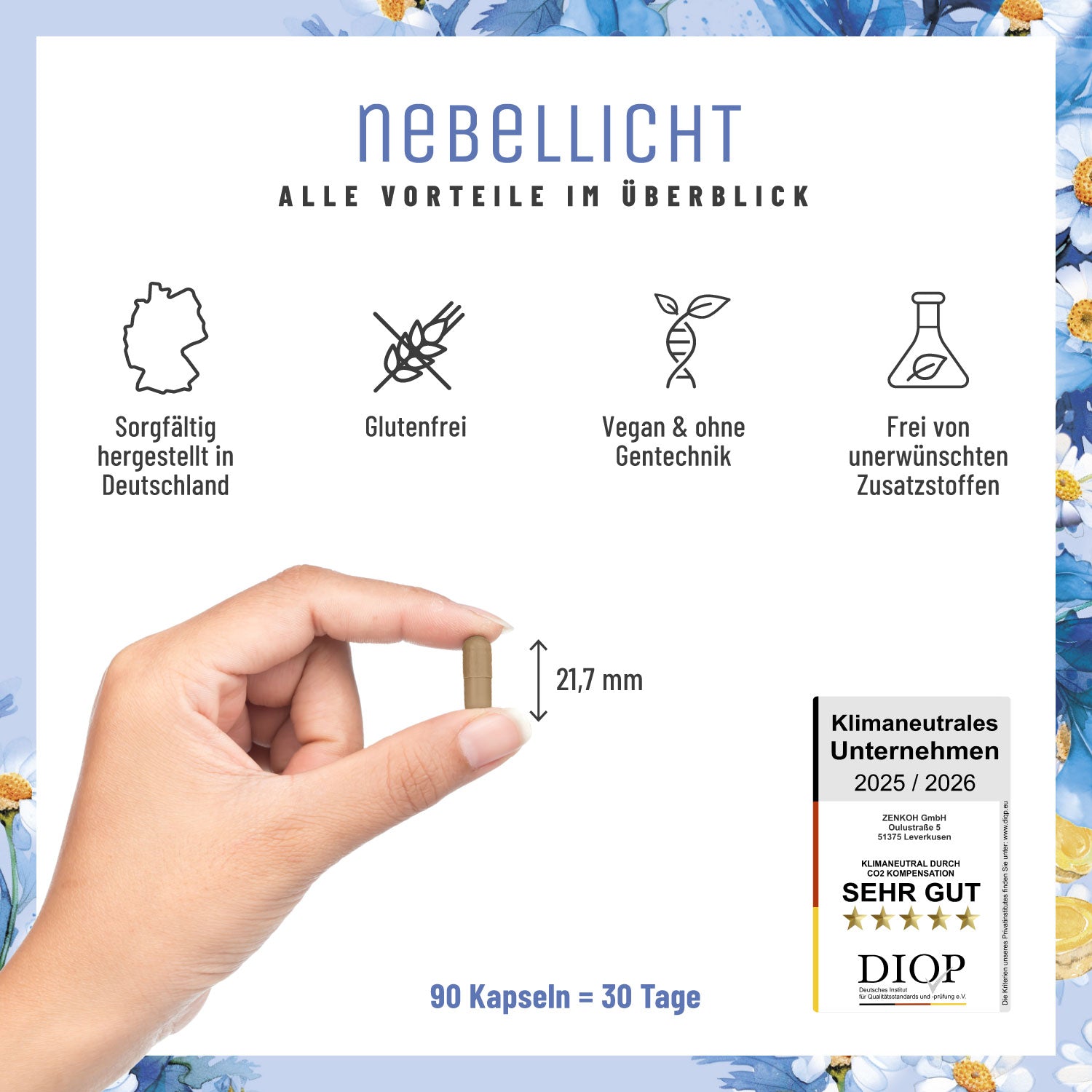 Nebellicht Mutterkraut Magnesium Ingwer Q10 Vitamin B2-Komplex Alle Vorteile im Ueberblick