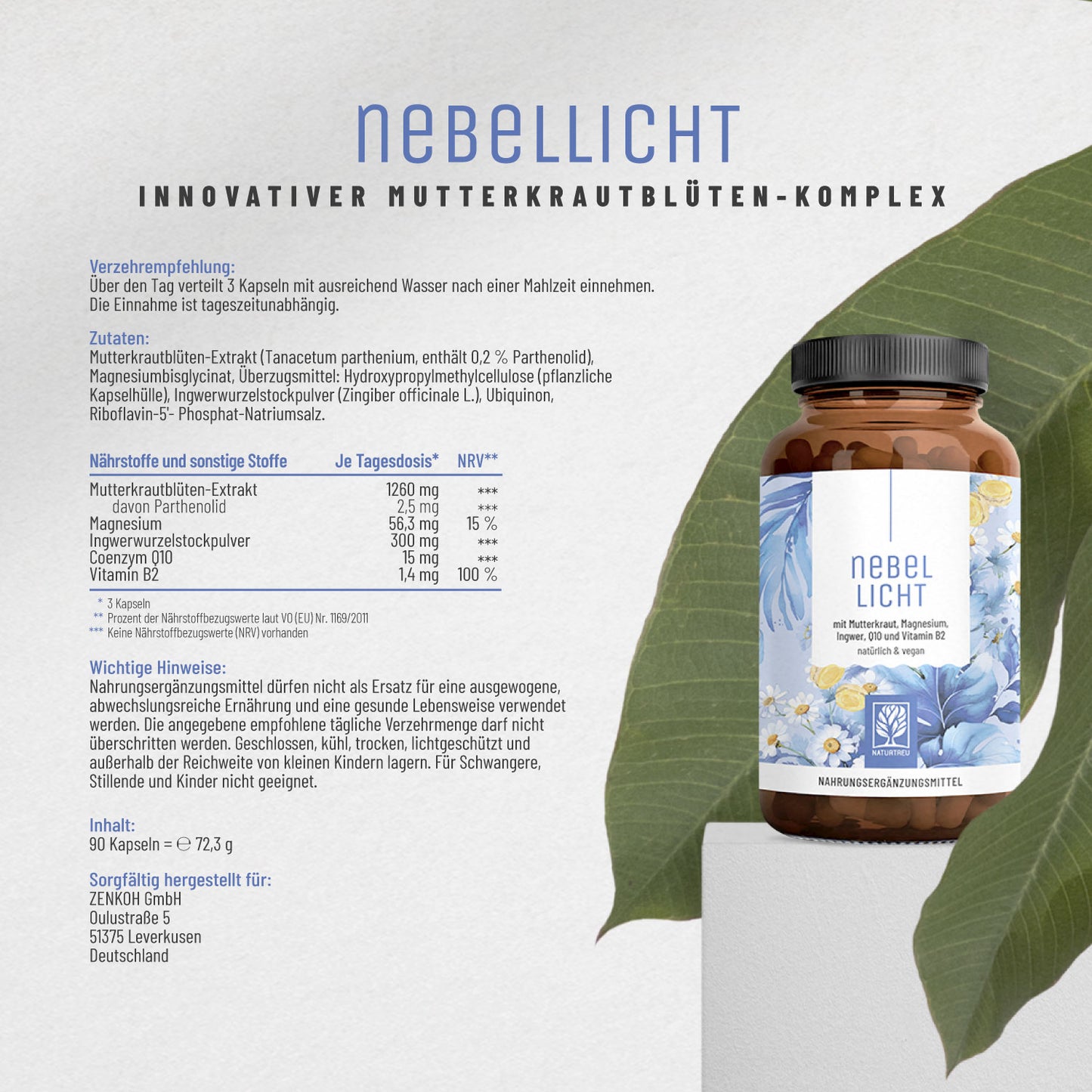 Nebellicht Mutterkraut Magnesium Ingwer Q10 Vitamin B2-Komplex Etikett 01