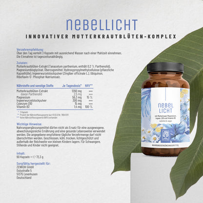 Nebellicht Mutterkraut Magnesium Ingwer Q10 Vitamin B2-Komplex Etikett 01