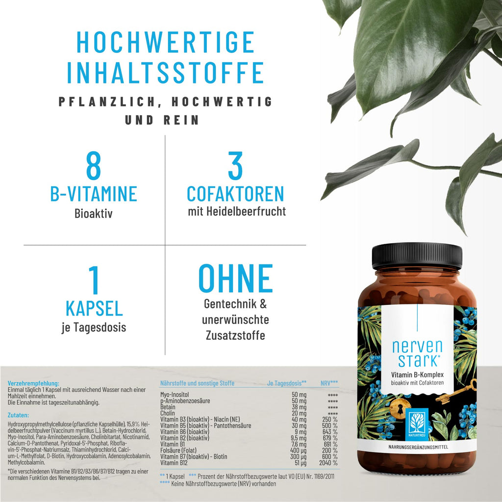 Nervenstark Vitamin-B-Komplex Hochwertige Inhaltsstoffe 