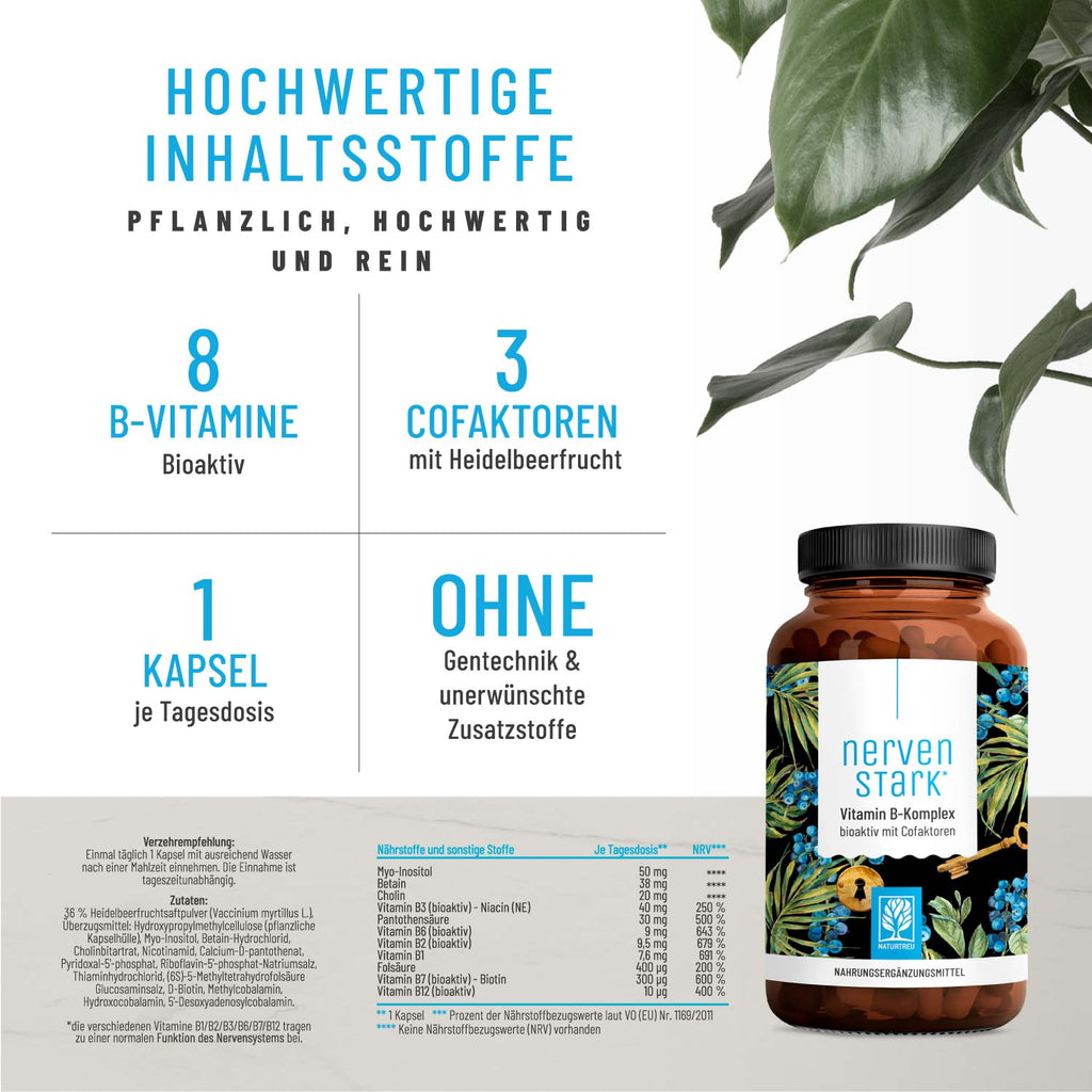 Nervenstark Vitamin-B-Komplex Hochwertige Inhaltstoffe