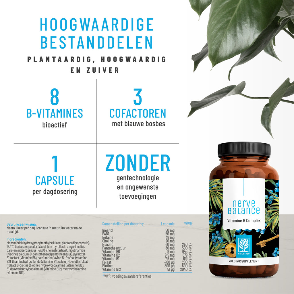 Nervenstark Vitamin-B-Komplex NL Hochwertige Inhaltsstoffe