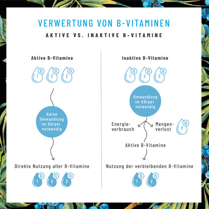 Nervenstark Vitamin-B-Komplex Verwertung Aktiv Inaktiv 