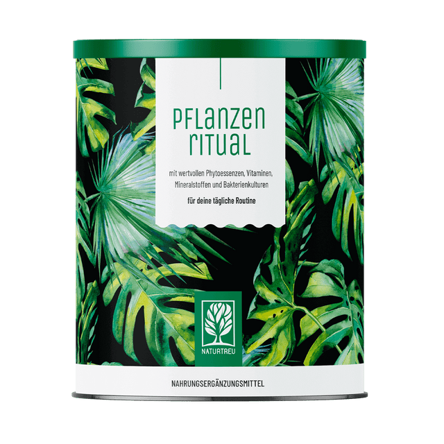 Grünes Superfood Pulver