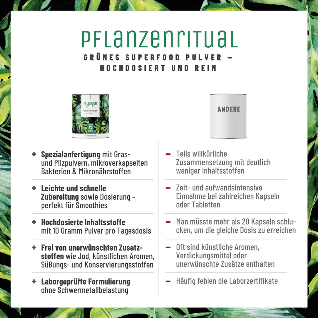Pflanzenritual fuer-deine-taegliche-Routine im Vergleich 