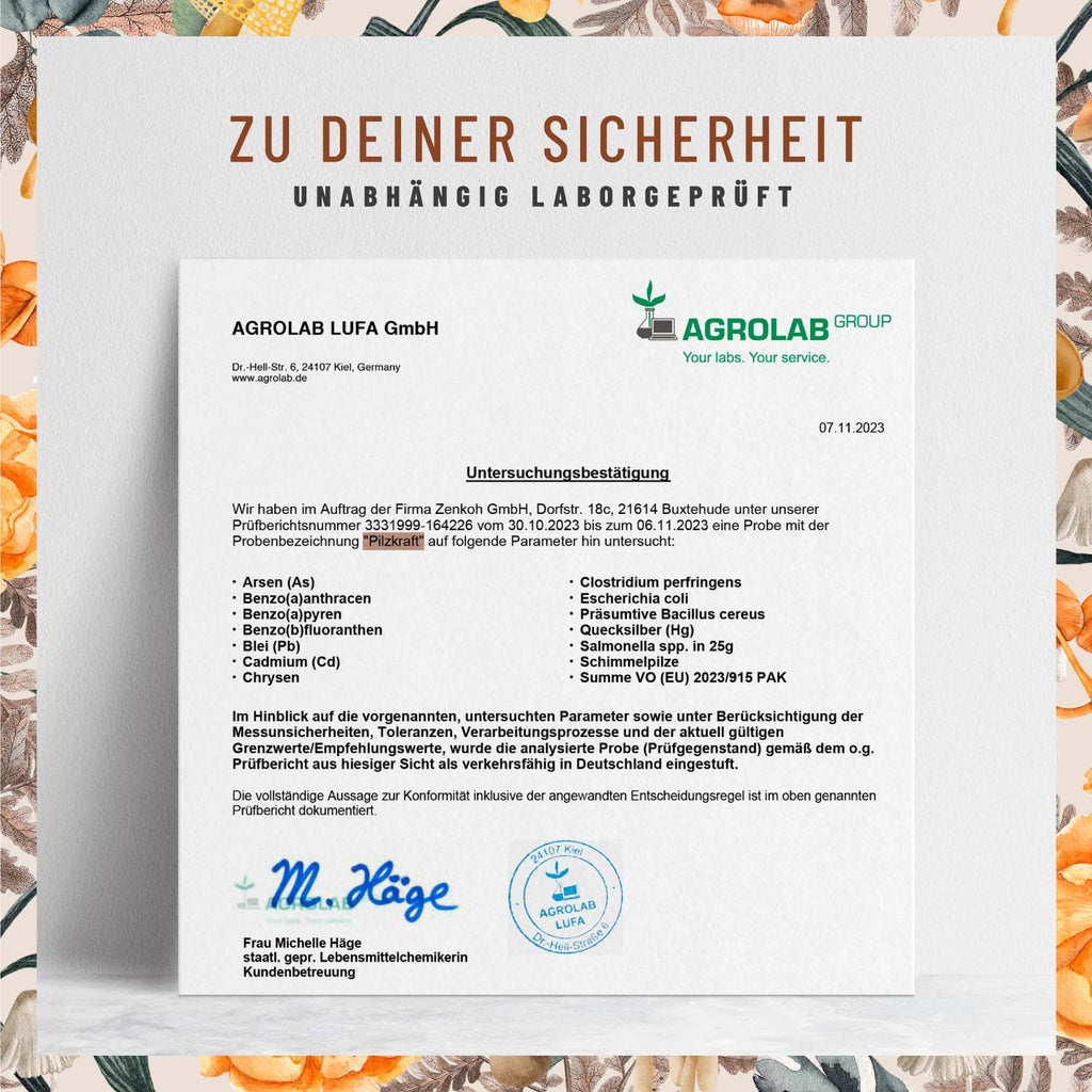 Pilzkraft Pilz-Komplex Laborbild