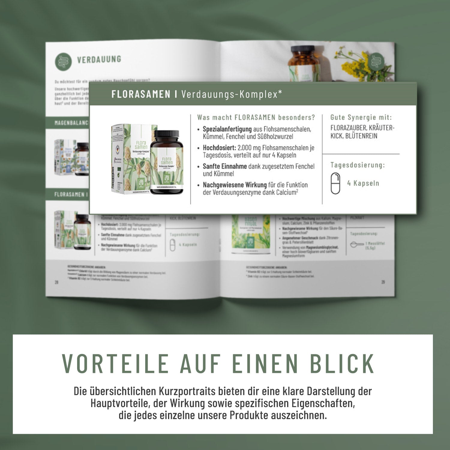 Produktkatalog Vorteile auf einen Blick 