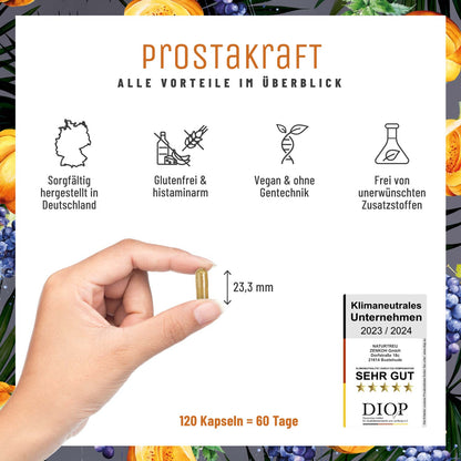 Prostakraft Saegepalmen Komplex mit Kuerbis Traubenkern Brennnessel Vitamin E Zink Selen Alle Vorteile
