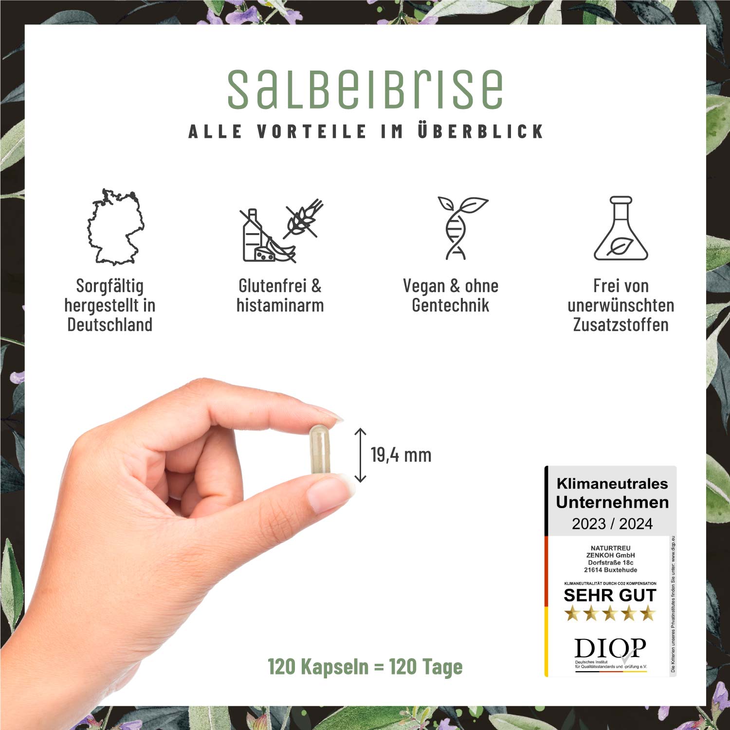 Salbeibrise Salbei-Extrakt Alle Vorteile