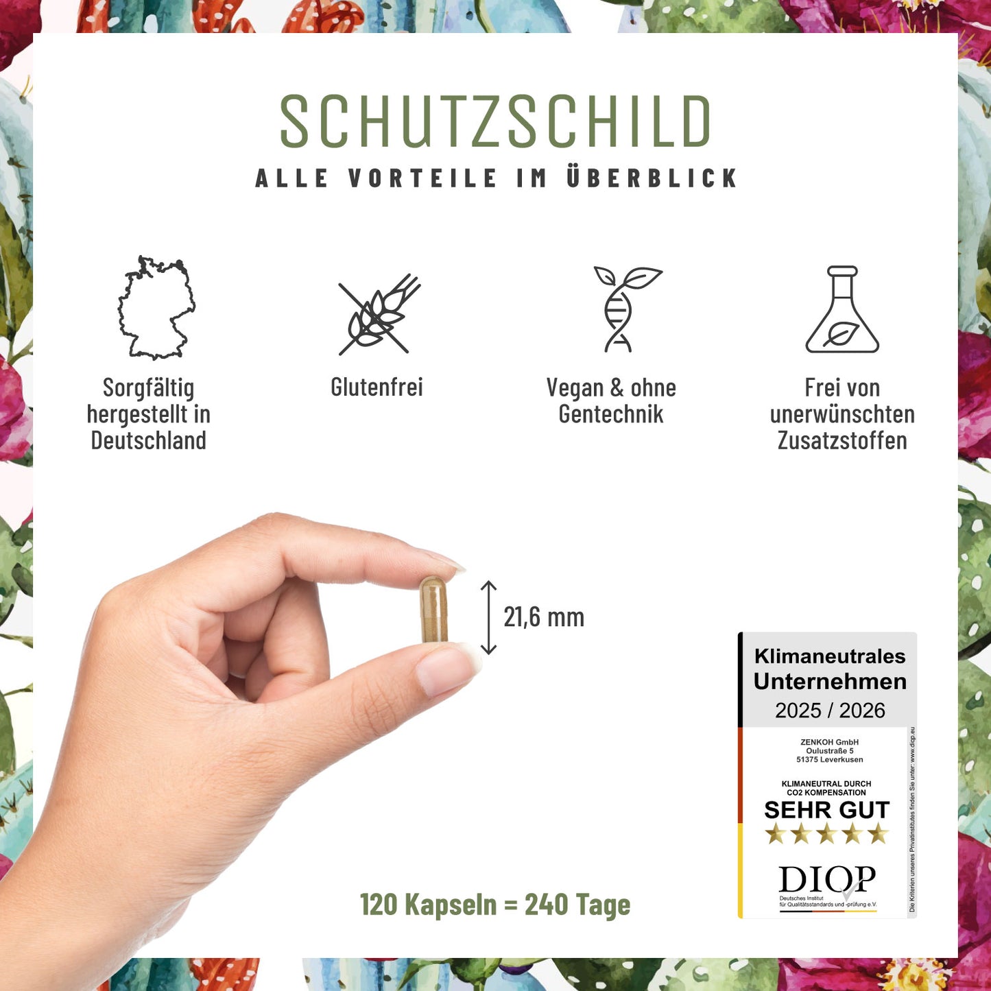 Schutzschild: Immun-Komplex mit Echinacea