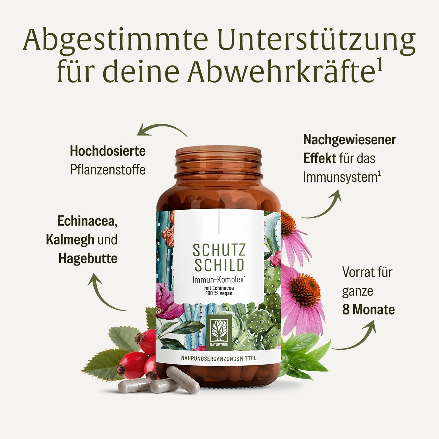 Schutzschild: Immun-Komplex¹