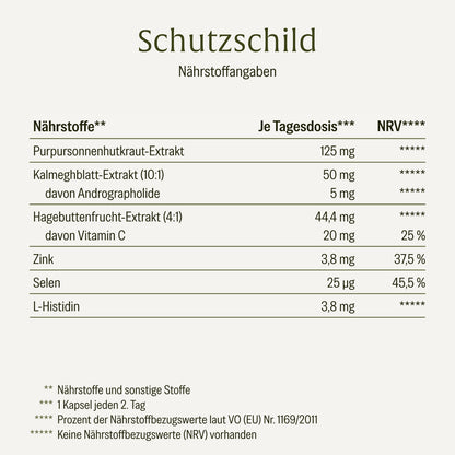 Schutzschild: Immun-Komplex¹