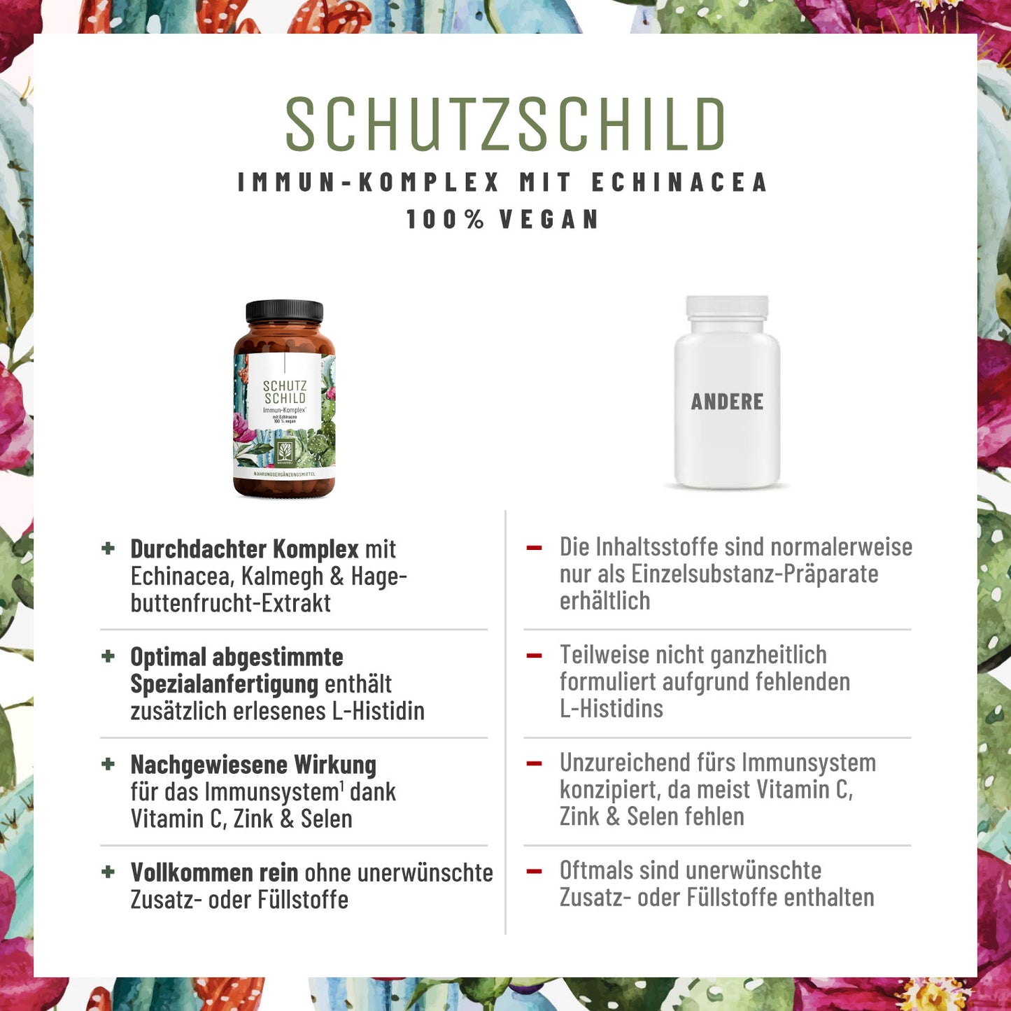 Schutzschild: Immun-Komplex mit Echinacea