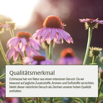 Schutzschild Immun Komplex Mood