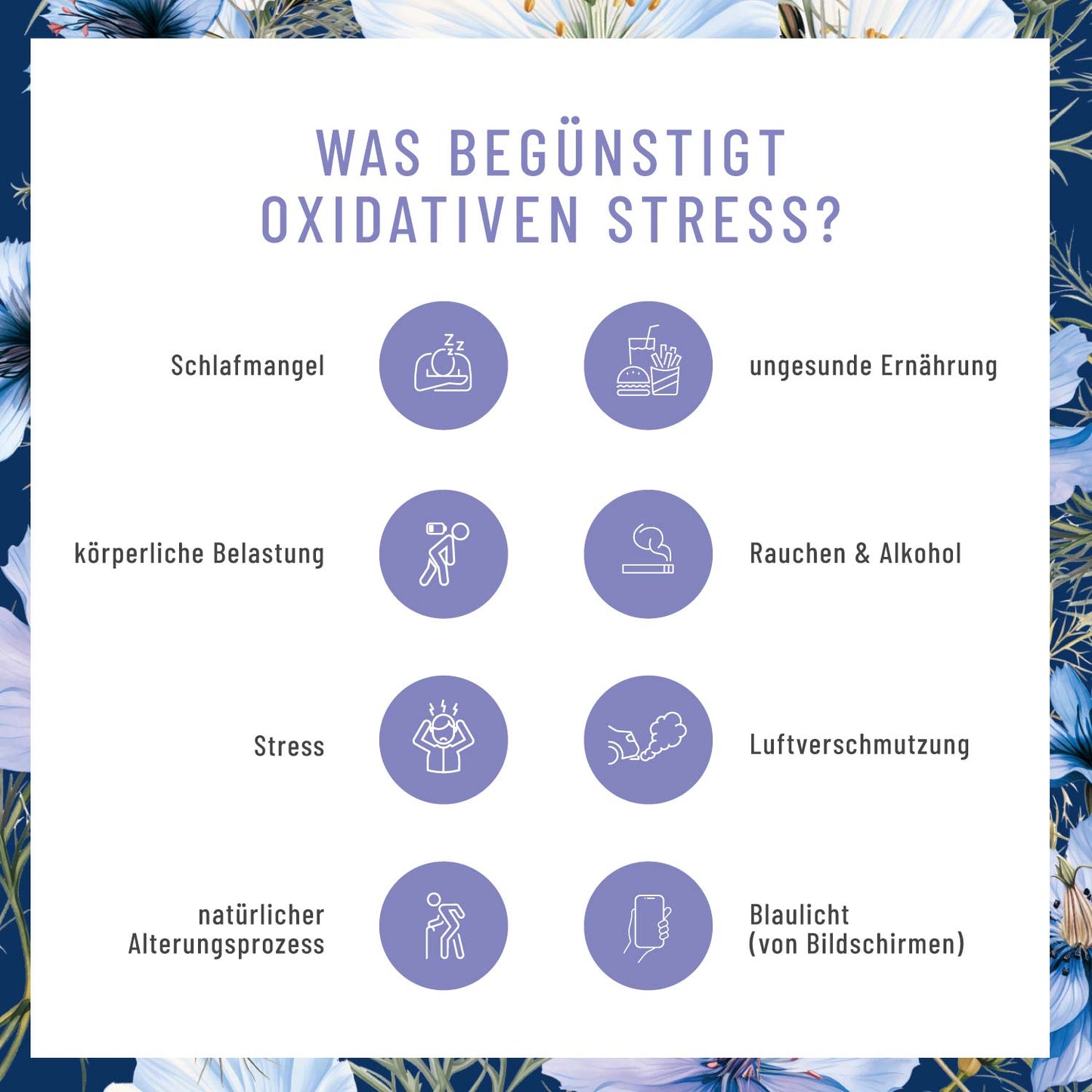 Schwarzkuemmel Schwarzkuemmeloel Moodbild 