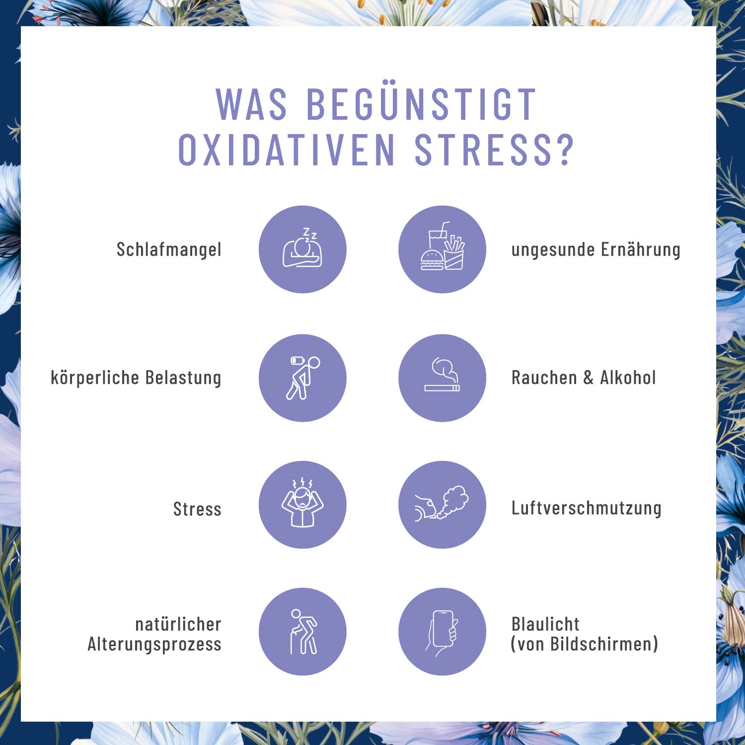 Schwarzkuemmel Schwarzkuemmeloel Moodbild 