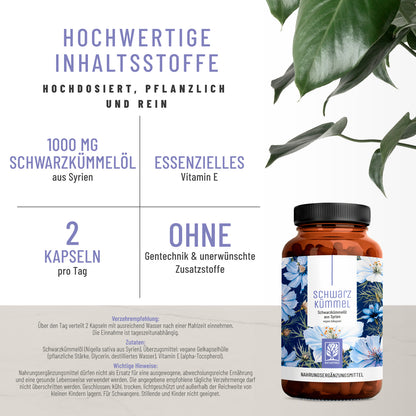 Schwarzkuemmel Schwarzkuummeloel Hochwertige Inhaltsstoffe