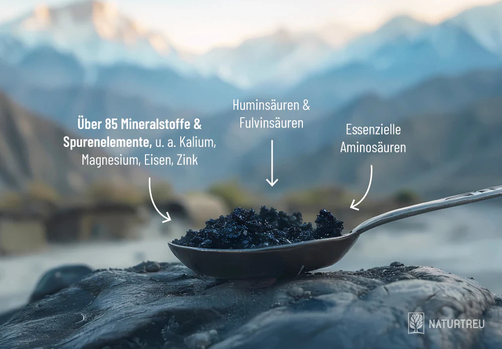 Shilajit-Mumijo-Inhaltsstoffe_Beitragsbild