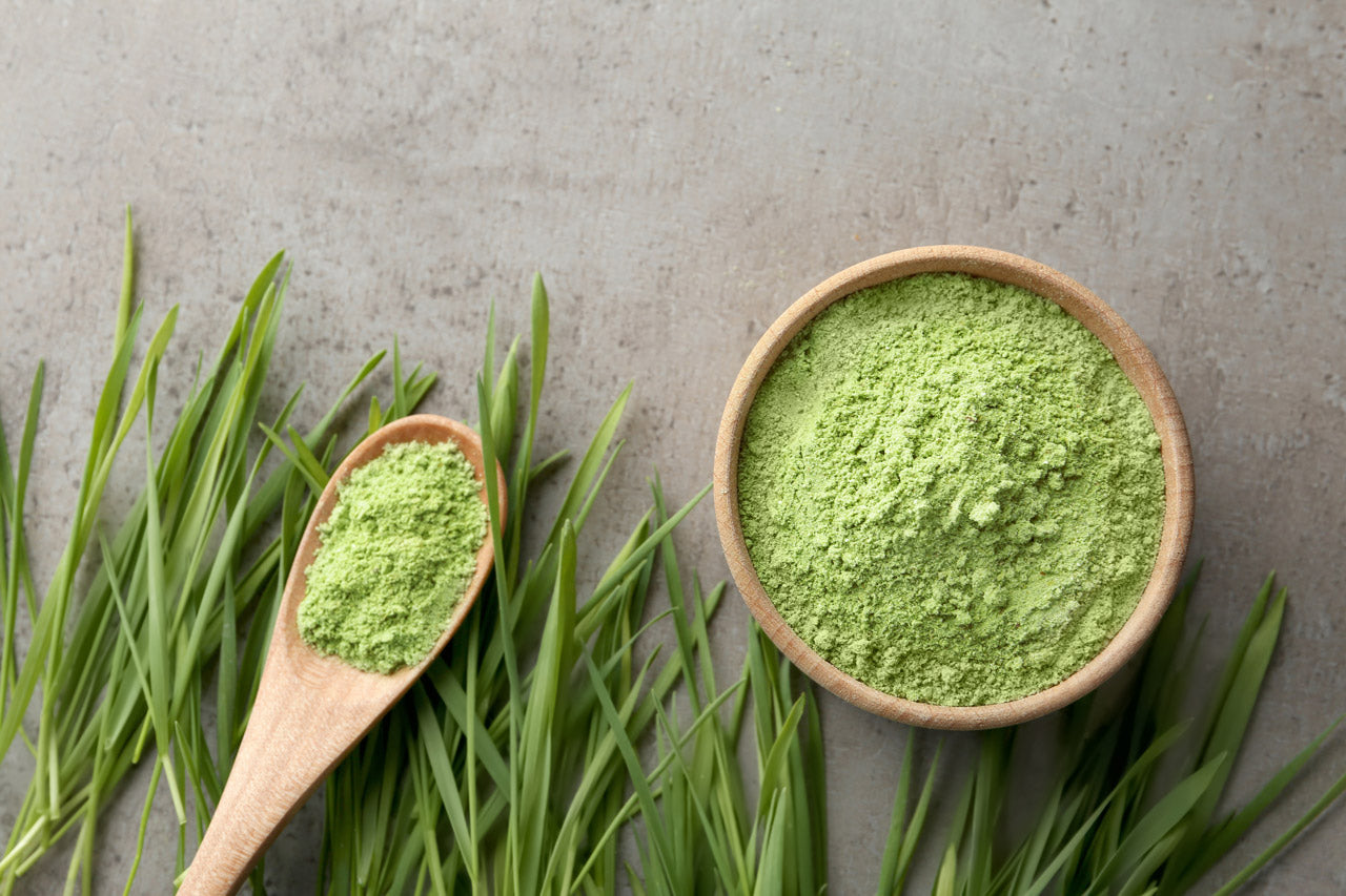 Gerstengras: Was du über das grüne Superfood wissen musst 