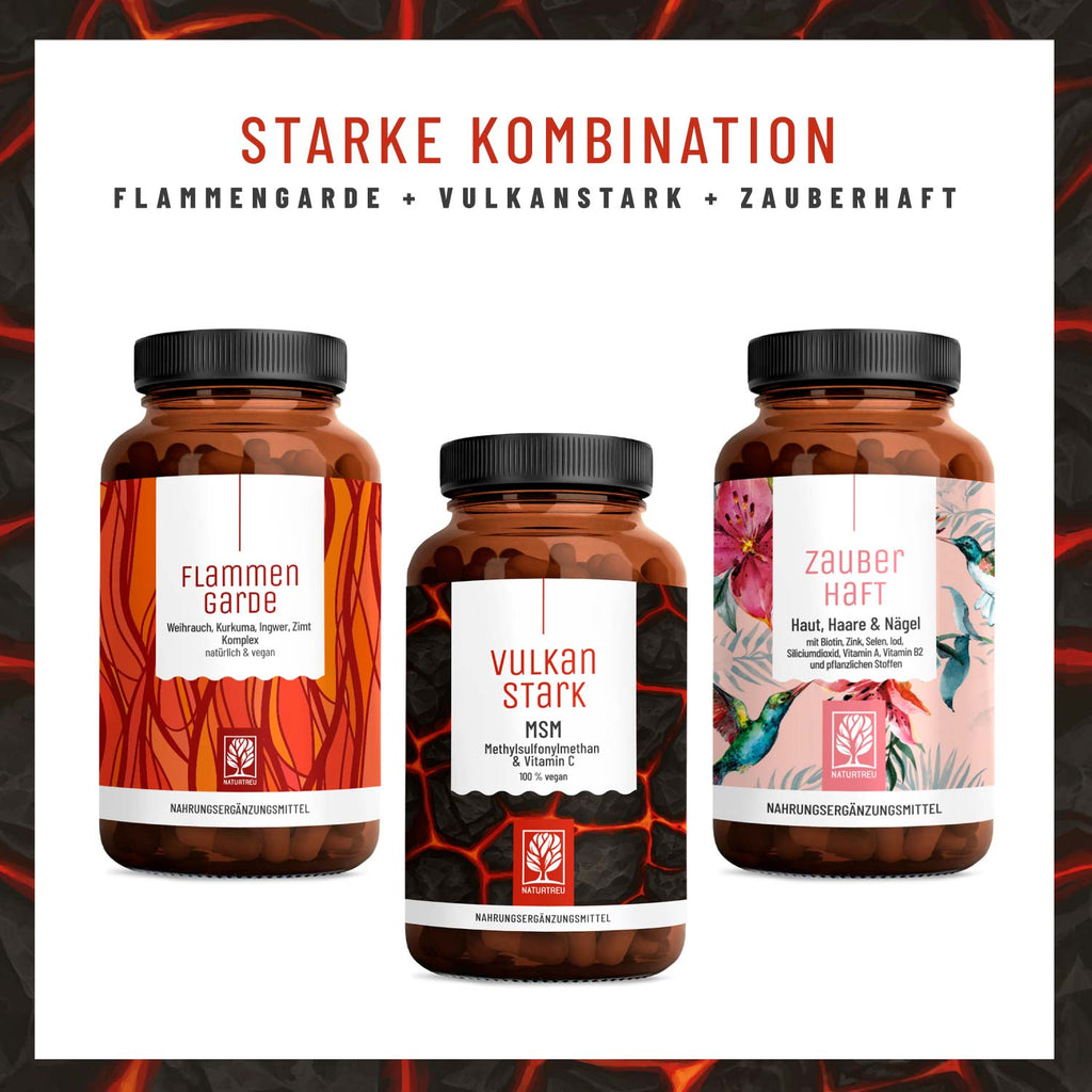 Vulkanstark Creatives Starke Kombination