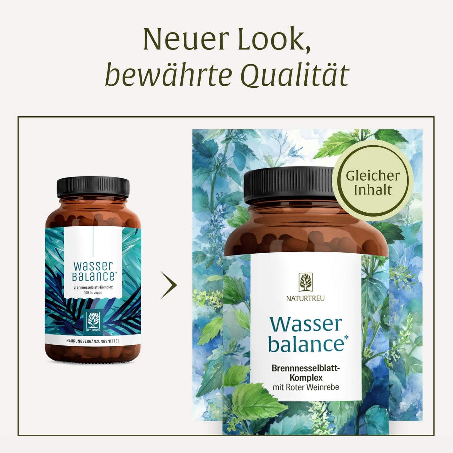 Wasserbalance: Brennnesselblatt-Komplex