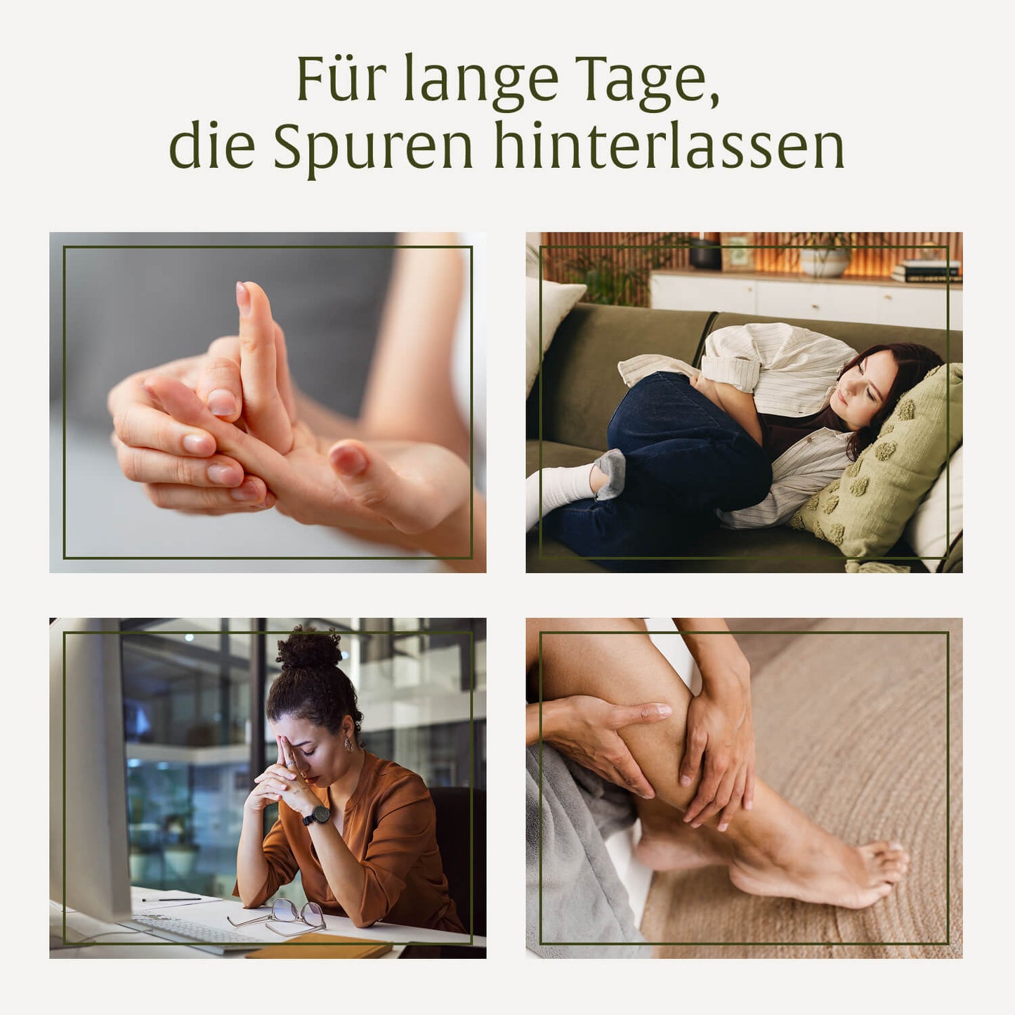 Wasserbalance: Brennnesselblatt-Komplex