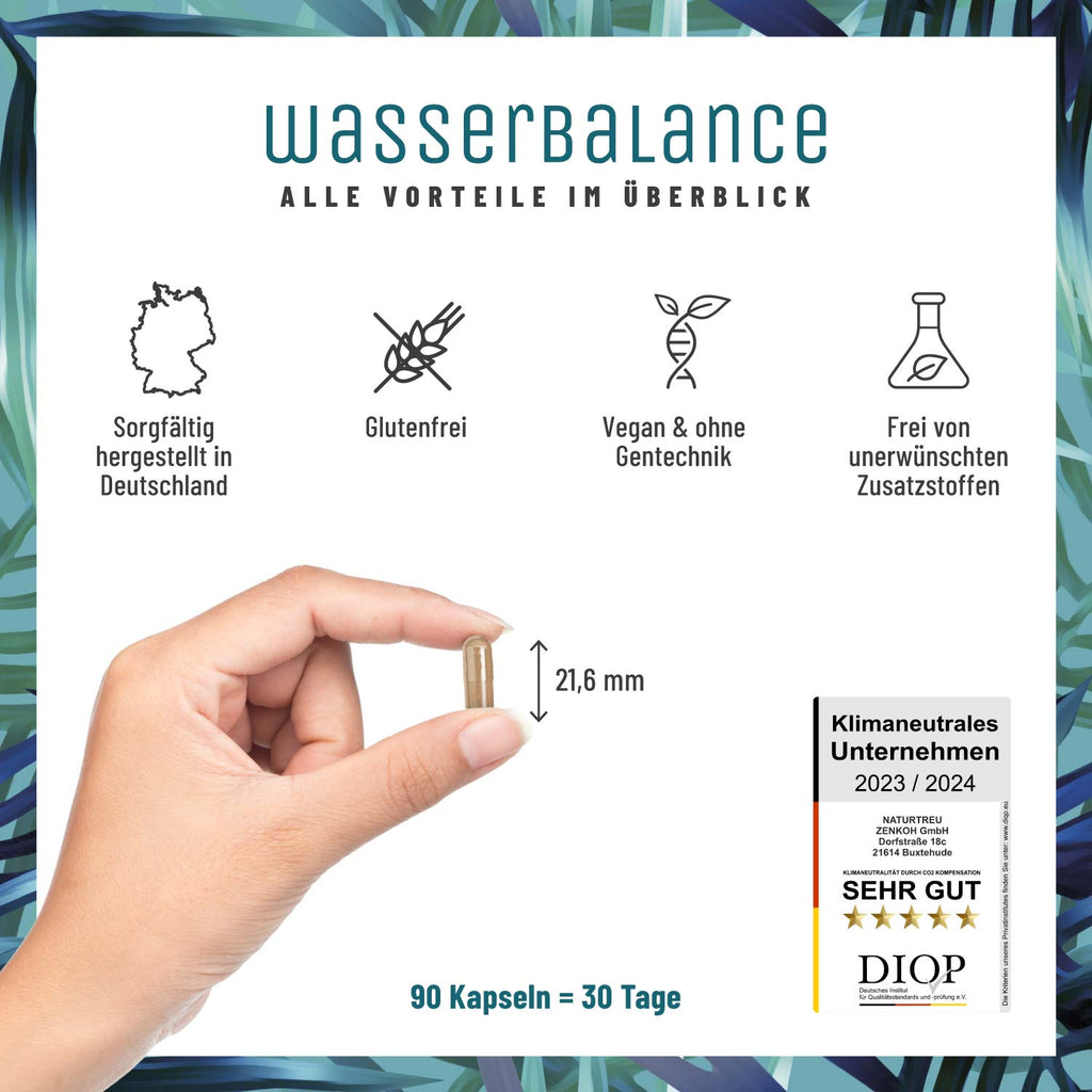 Wasserbalance Brennessel-Komplex Alle Vorteile