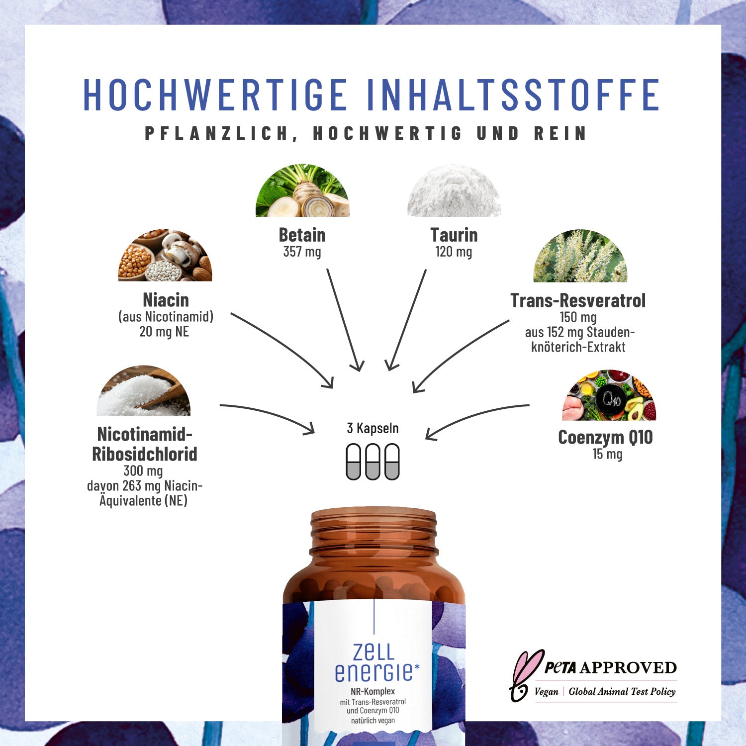 ZEEN Zellenergie Creative DE Inhaltsstoffe