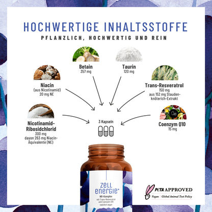 ZEEN Zellenergie Creative DE Inhaltsstoffe