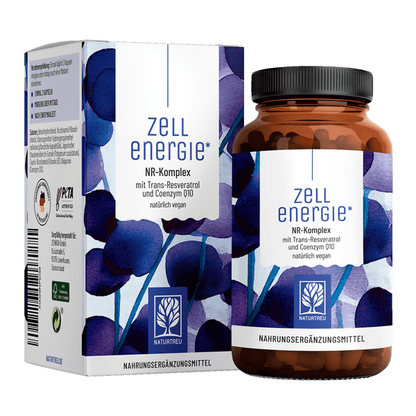 NR-Komplex mit Trans-Resveratrol und Coenzym Q10