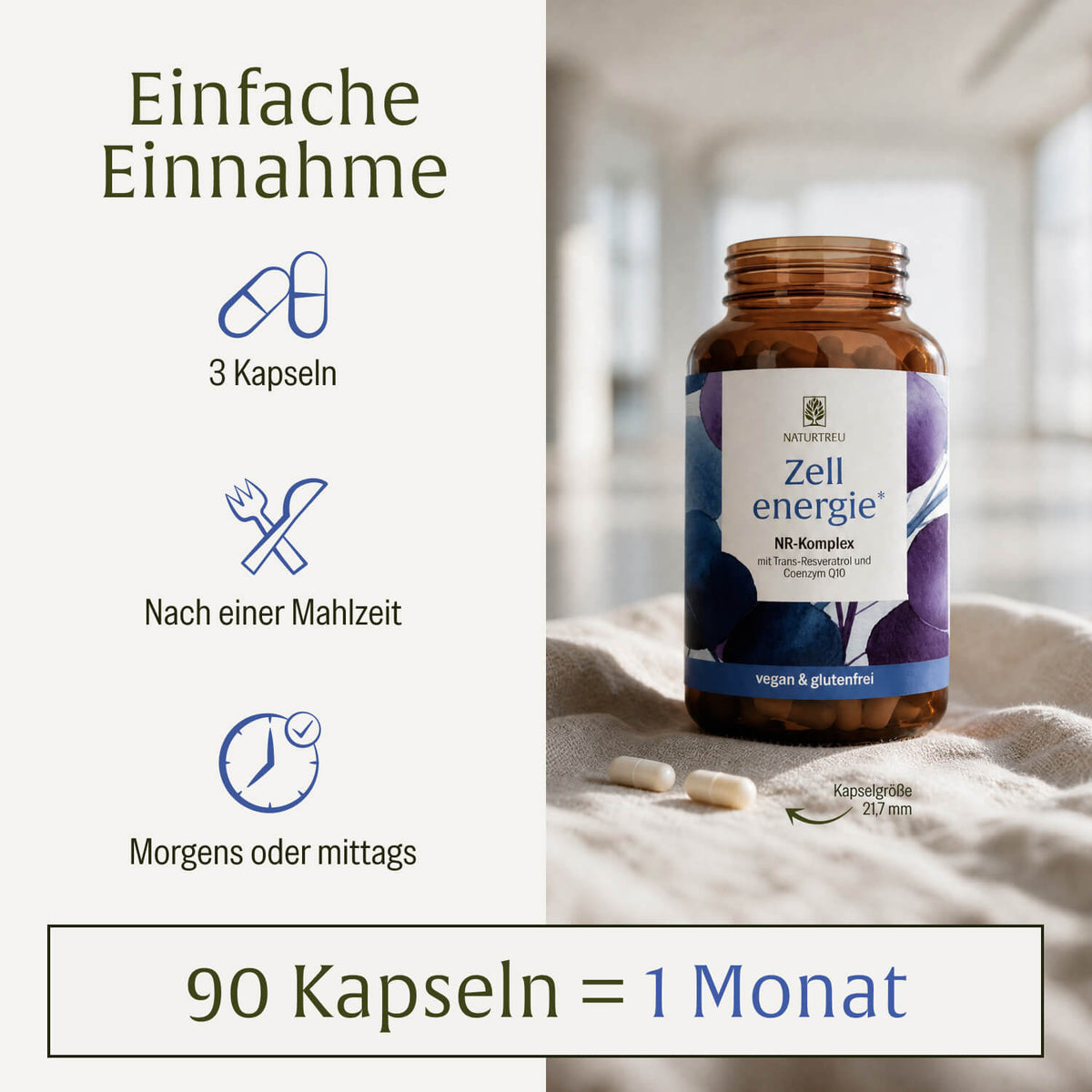 Zellenergie Creative DE Einnahme