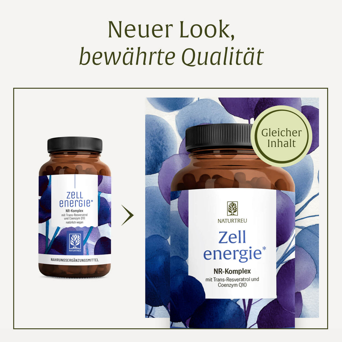Zellenergie Creative DE Neues Design