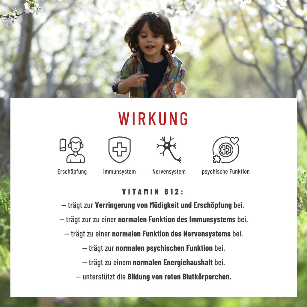 Zellknirps Vitamin B12 Wirkung