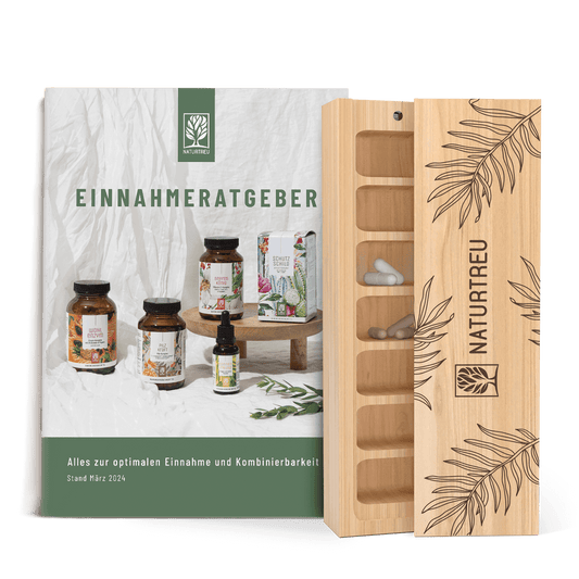 Routineholz-Paket zur perfekten Einnahme