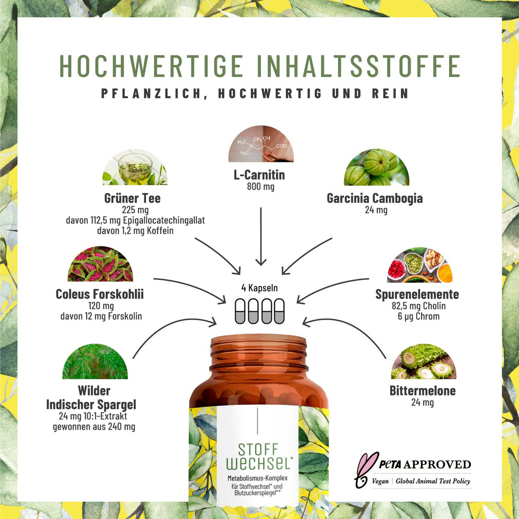 stoffwechsel metabolismus-komplex Inhaltsstoffe