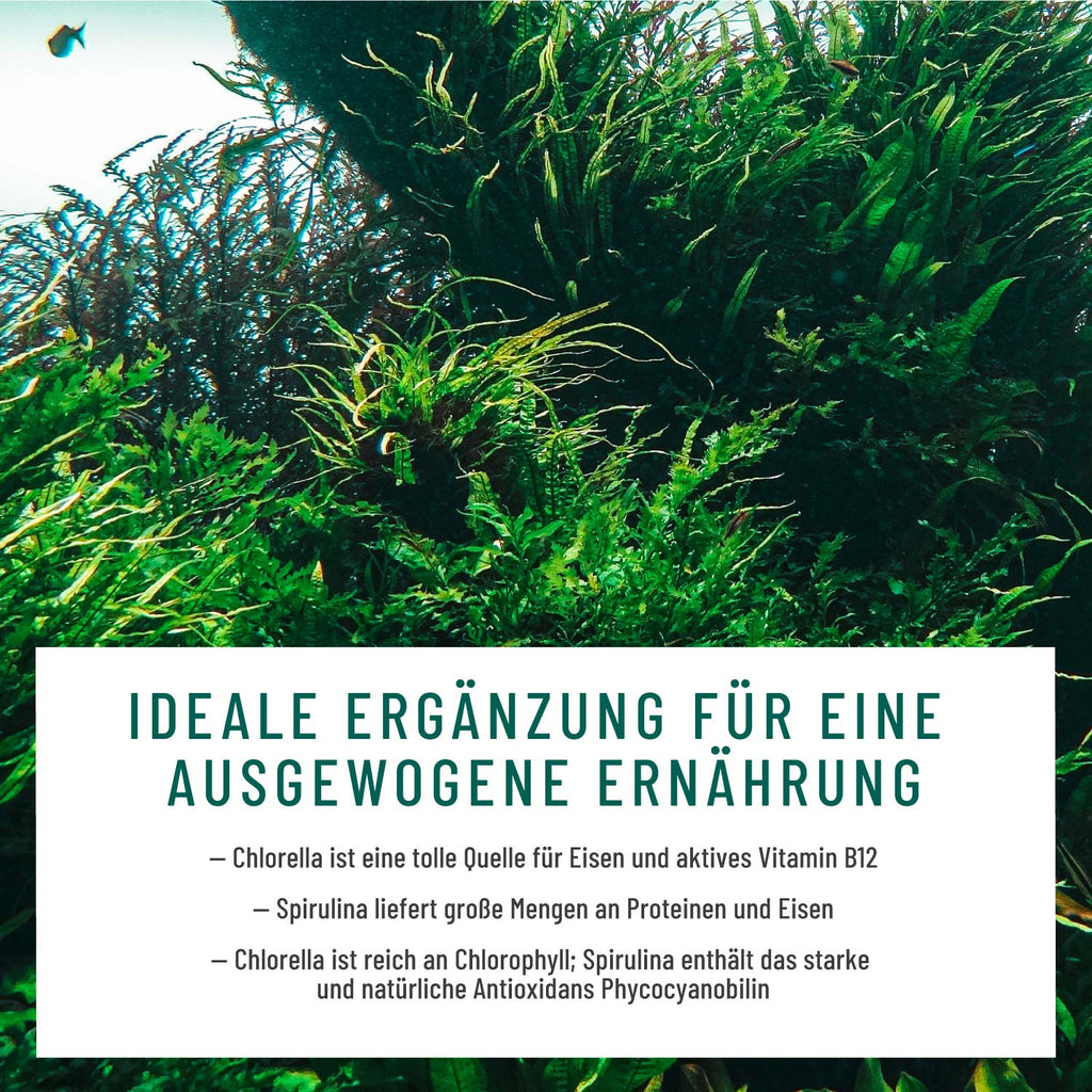 Algenduo Bio-Chlorella und -Spirulina Wirkung