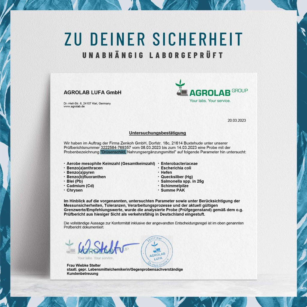 Drüsenschild Kelp-Komplex Laborzertifikat