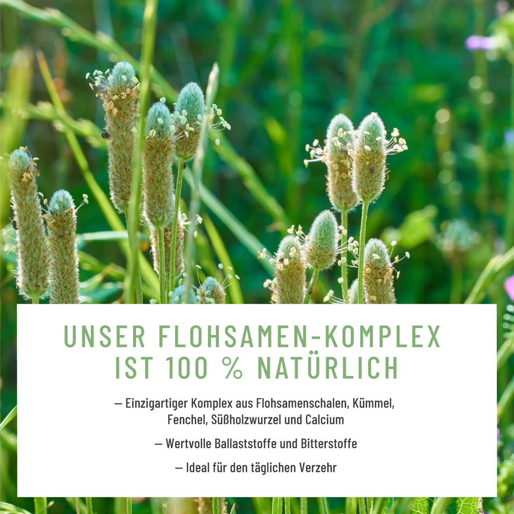 Florasamen Flohsamenschalen 100 Prozent Vegan